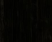 Gros plan de Black Brankowood